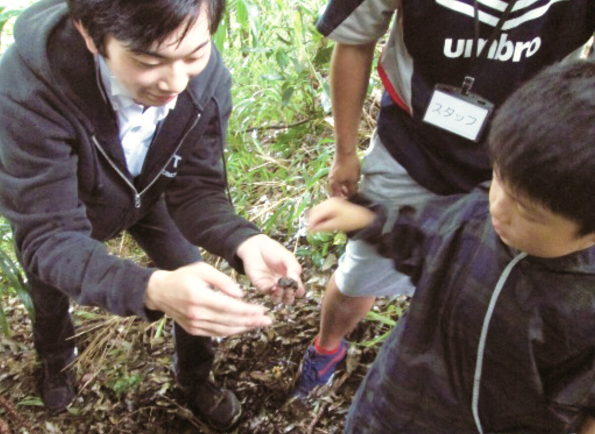 子育ち応援プログラムの様子