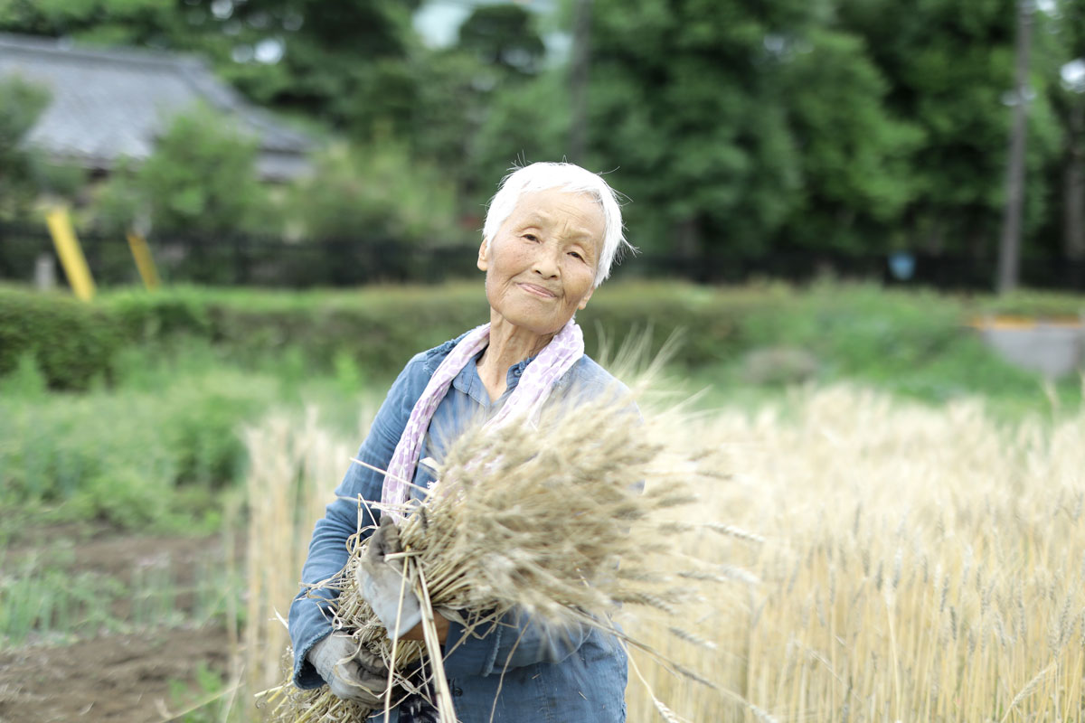 麦畑で、白髪のショートカットの女性が収穫した麦を抱えている。