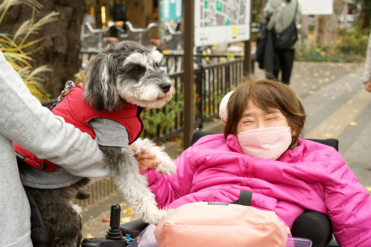通りで、飼い主に抱っこされた灰色と白のふさふさの毛をした小型犬と電動車いすに乗った女性がふれあっていて、女性は嬉しそうな表情をしている。