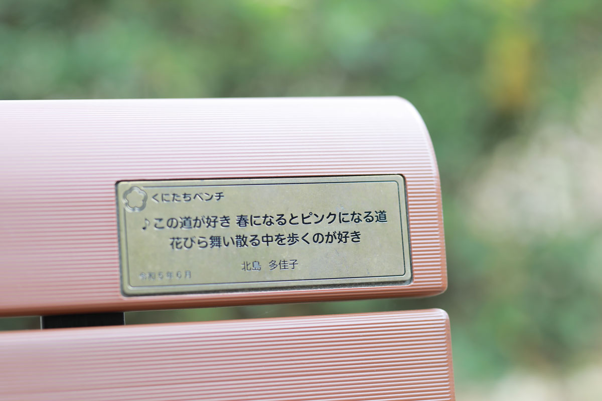 公園にありそうな木製風のプラスチックベンチの端の方に、ブロンズっぽいプレートがついており歌詞の一節「この道が好き、春になるとピンクになる道、花びら舞い散る中を歩くのが好き」と刻まれている。